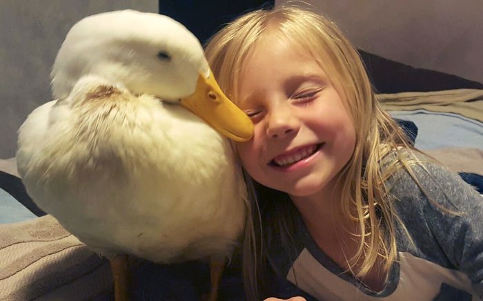 niña tiene vínculo muy especial con un pato niña tiene vínculo muy especial con un pato