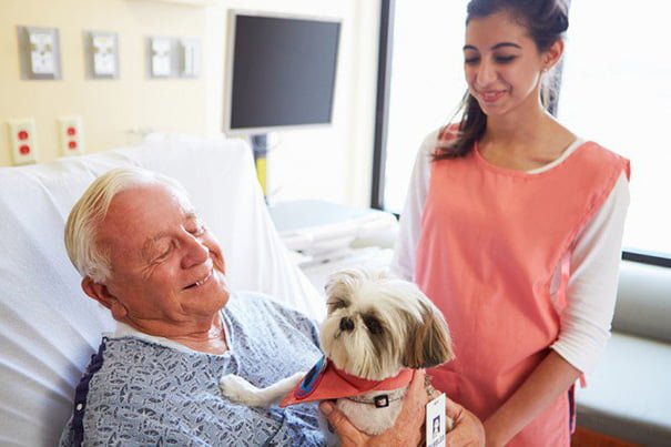 Pacientes visitados por sus mascotas