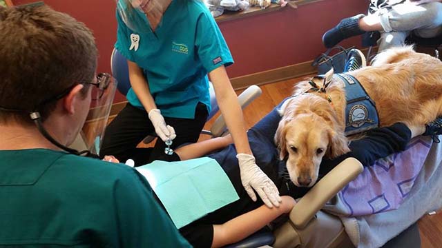 Clínica dental tiene a una perra como su ayudante