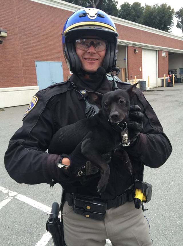 Policía salva a un perro Policía salva a un perro