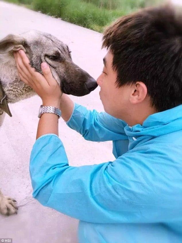 Activista y perro rescatado del festival de Yulin
