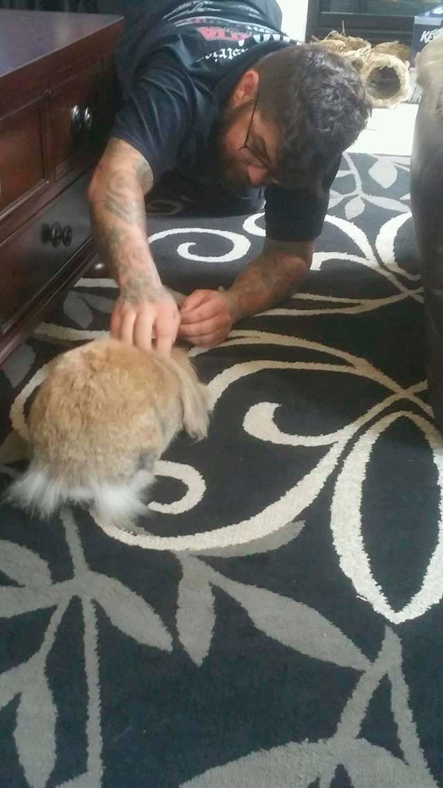 Archie en hogar temporal