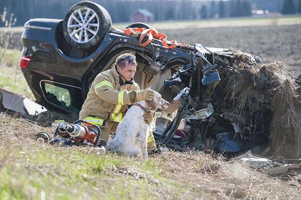 Bomberos salvan perro en accidente automovilístico