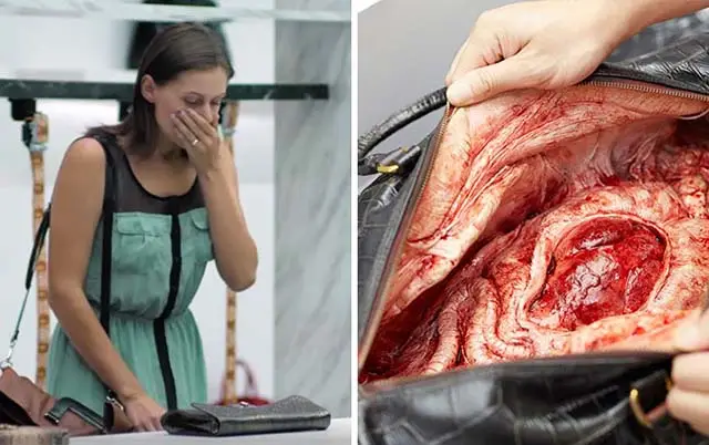 Campaña de PETA