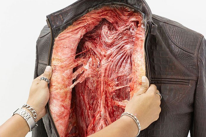 Caqueta hecha de cuero