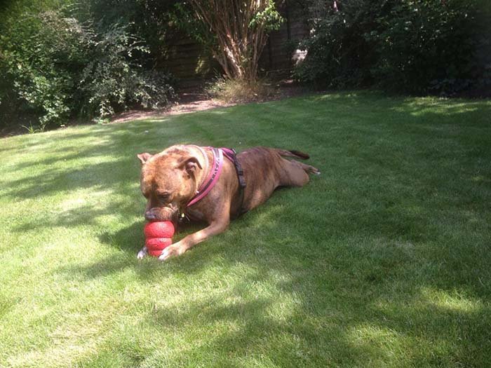 Freya jugando