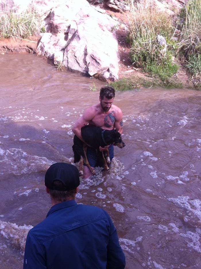 Heroe salva a una perra de ahogarse en Utah Heroe salva a una perra de ahogarse en Utah