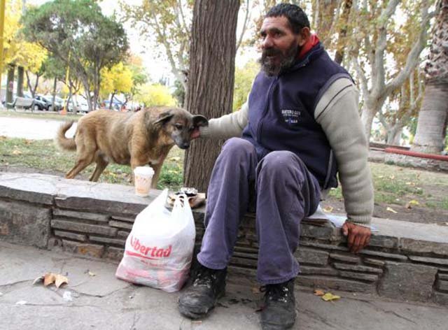 Hombre es salvado por su perro en un incendio