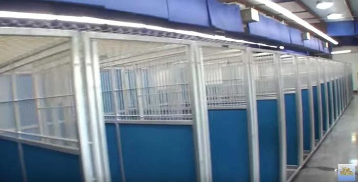 Jaulas vacías de un refugio Jaulas vacías de un refugio