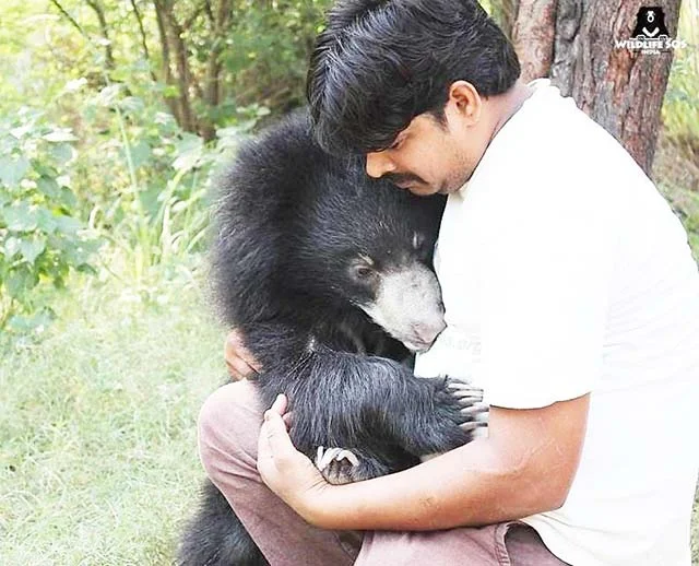 Oso abraza a su cuidador