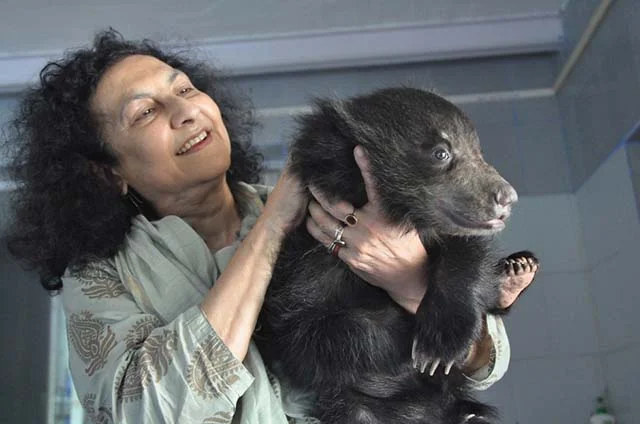 Oso rescatado
