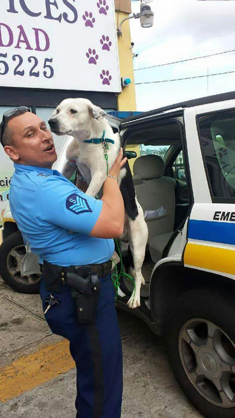 Perro adoptado por policías