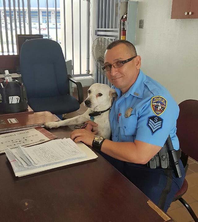 Perro en la oficina del policia Perro en la oficina del policia