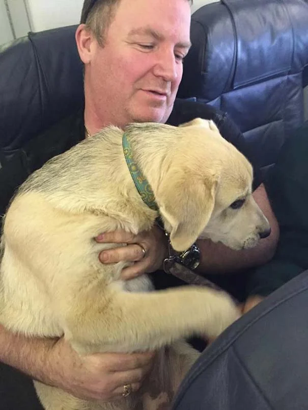 Perro viajando con su familia en avion