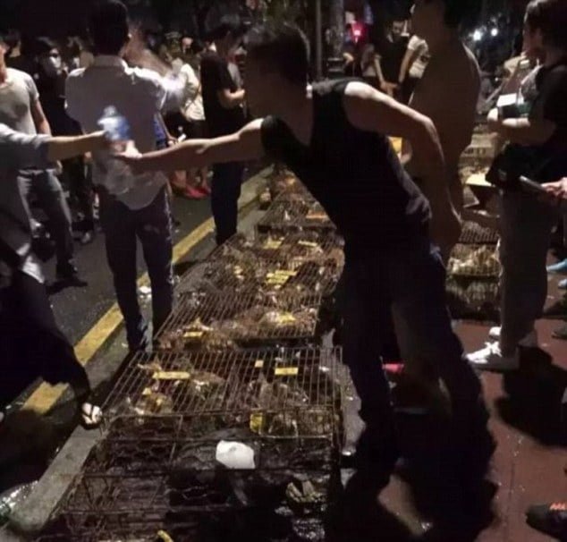 Activistas rescatan mas de 400 animales con destino al festival de Yulin