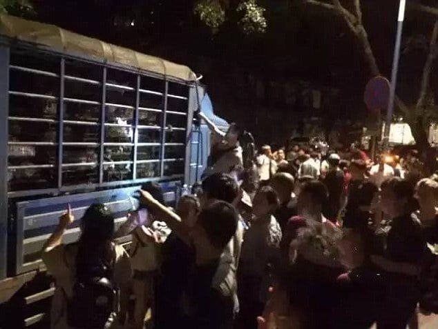 Amantes de los animales se tomaron un camion que transportaba mas de 400 animales Amantes de los animales se tomaron un camion que transportaba mas de 400 animales
