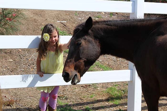 Caballo y niña