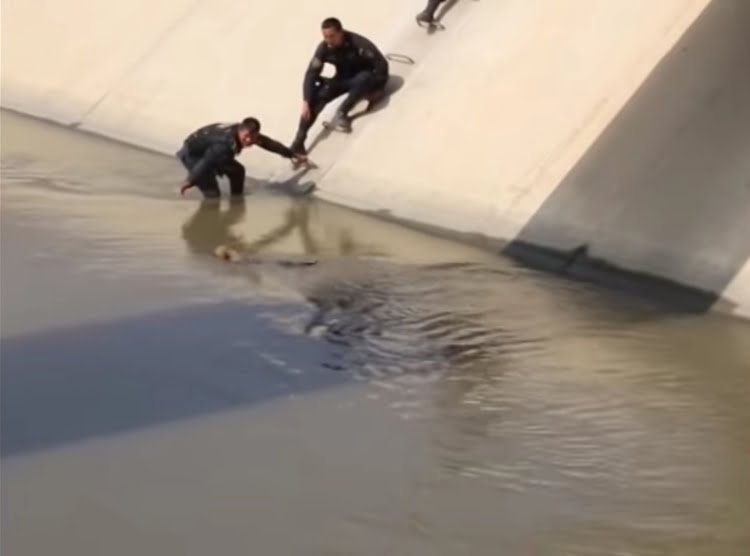 Canal