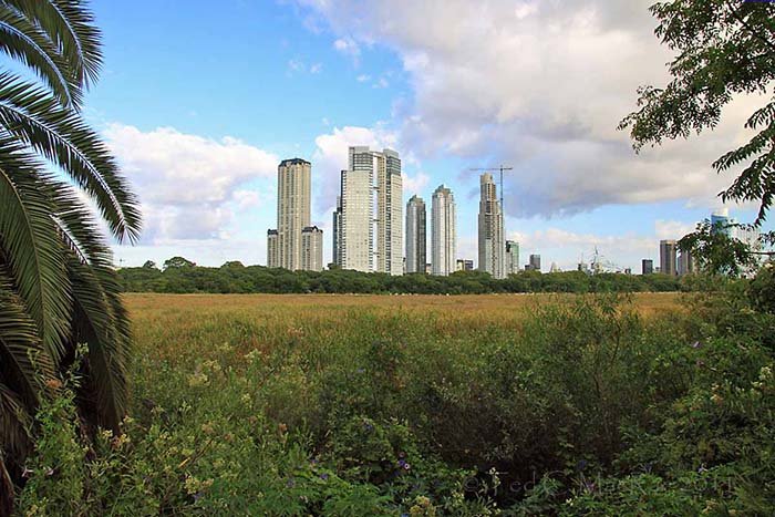 Costanera sur