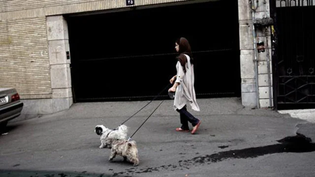 En Irán confiscan las mascotas de las familias