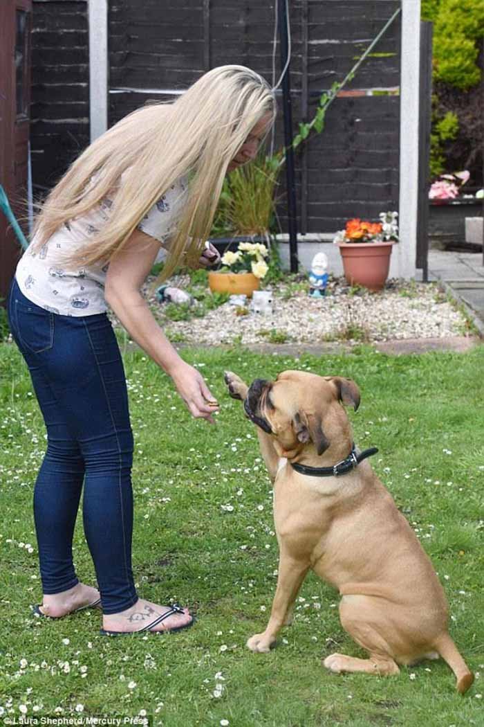 Floyd no puede encontrar un hogar