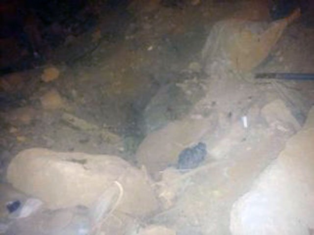 Gatita sepultada debajo de escombros