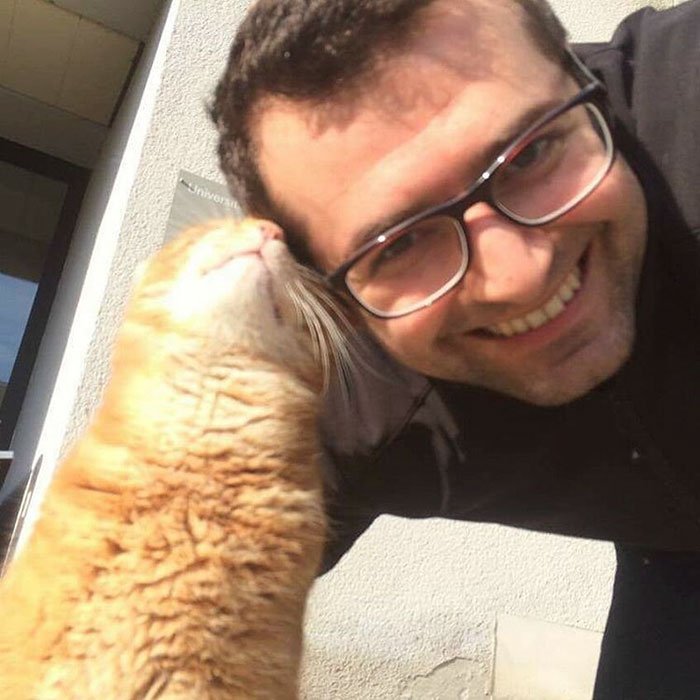 Gato da mimos a estudiantes
