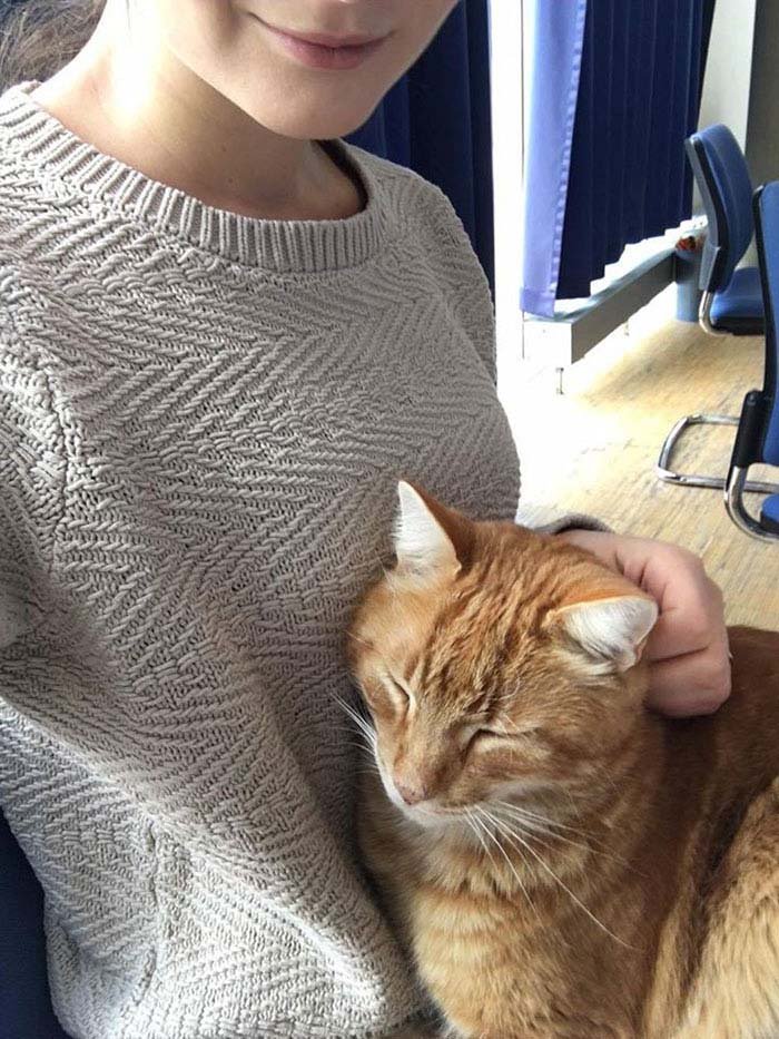 Gato junto a estudiantes