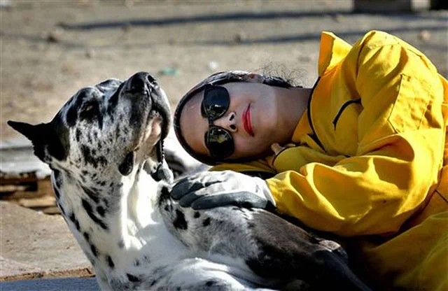 Homa Rashid, abogada y voluntaria en el refugio animal Vafa animal, en Irán