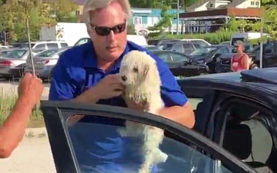 Hombre rescata a un perro