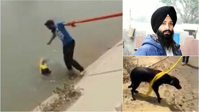 Hombre sij se quito el turbante para salvar a un perro de ahogarse