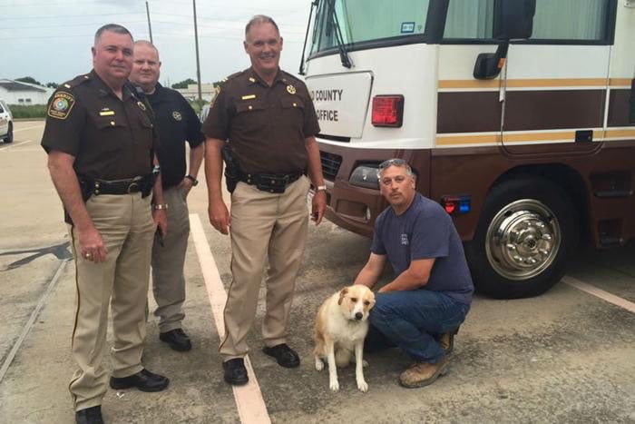 Hombres que salvaron a una perra en una inundacion en Texas