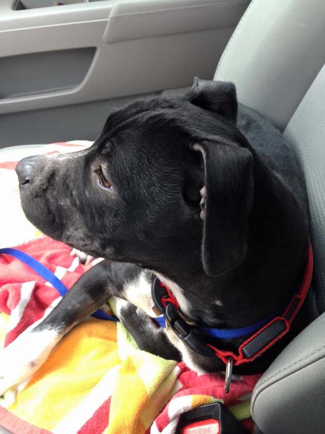 Lucy recuperada