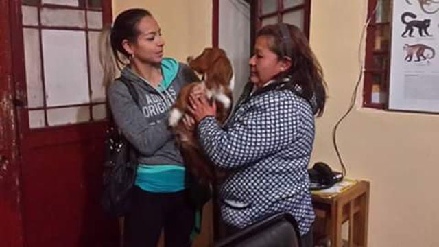 Mujer entrega el perro voluntariamente