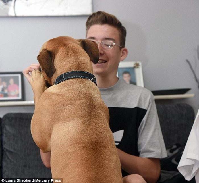 Perro quiere mucho a la gente