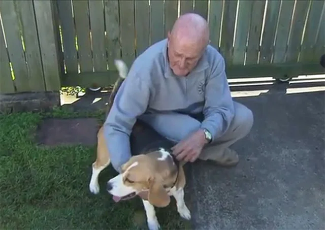 Perro salva la vida de tres familiares en un incendio