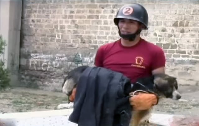 Policia rescato a una perra embarazada en Huancayo Peru