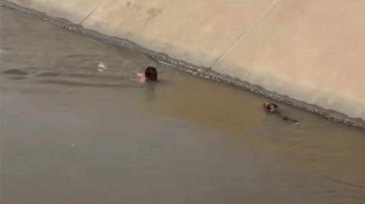 Rescatan perro de un canal