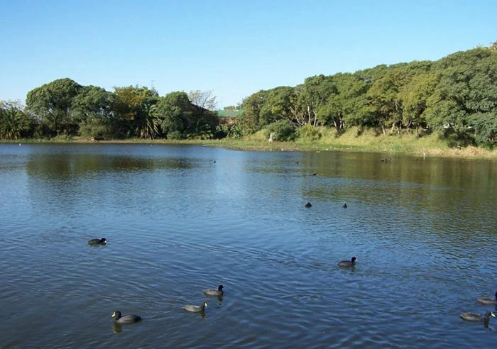 Reserva ecologica costanera