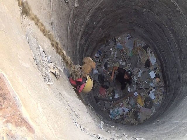 Seguridad Ciudadana rescato a un perro en Peru
