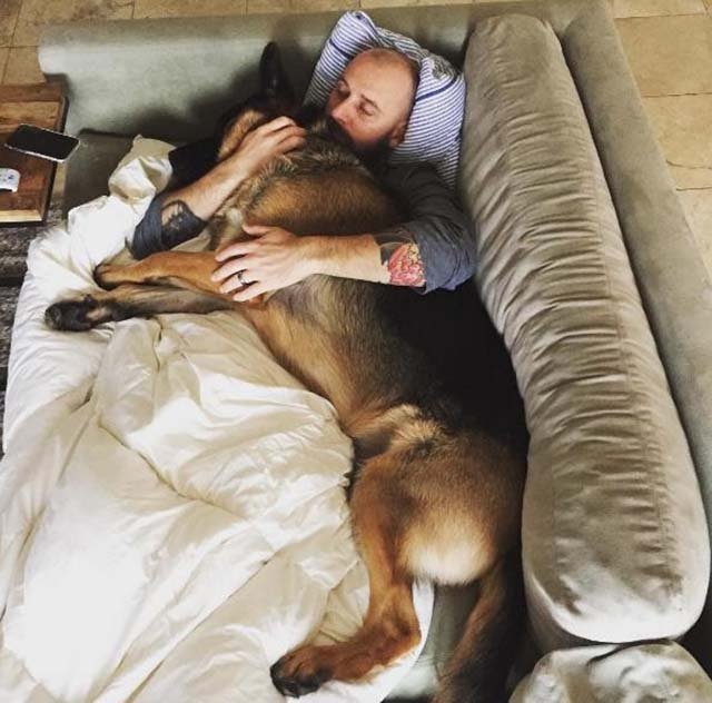 Tiger ama a su nueva familia