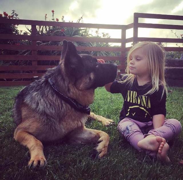 Tiger y Sloane