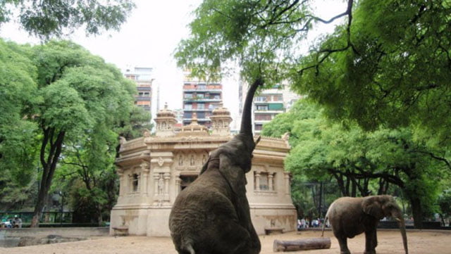Zoologico de Buenos Aires cerrara sus puertas