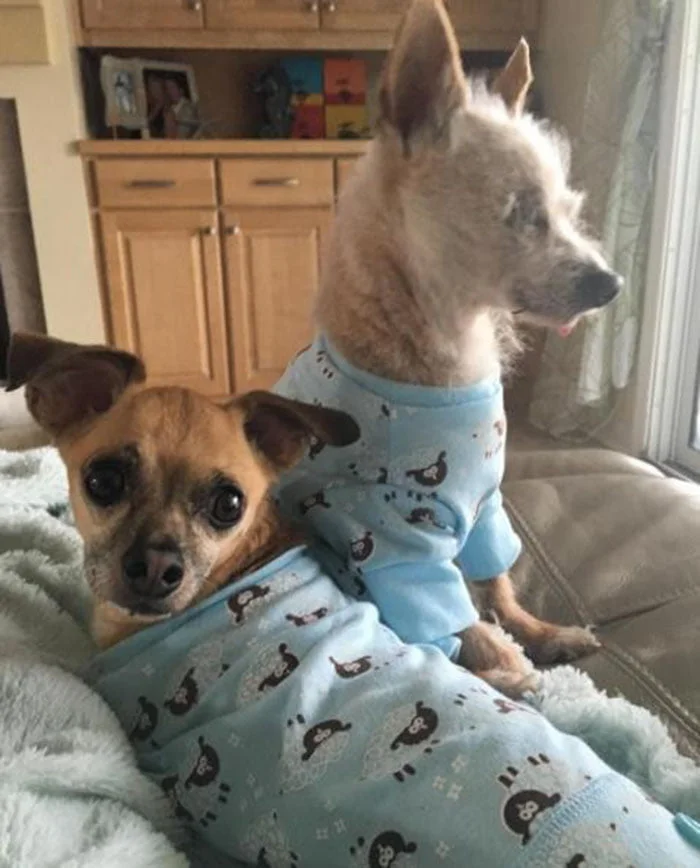 Biskit y Buster Biskit y Buster