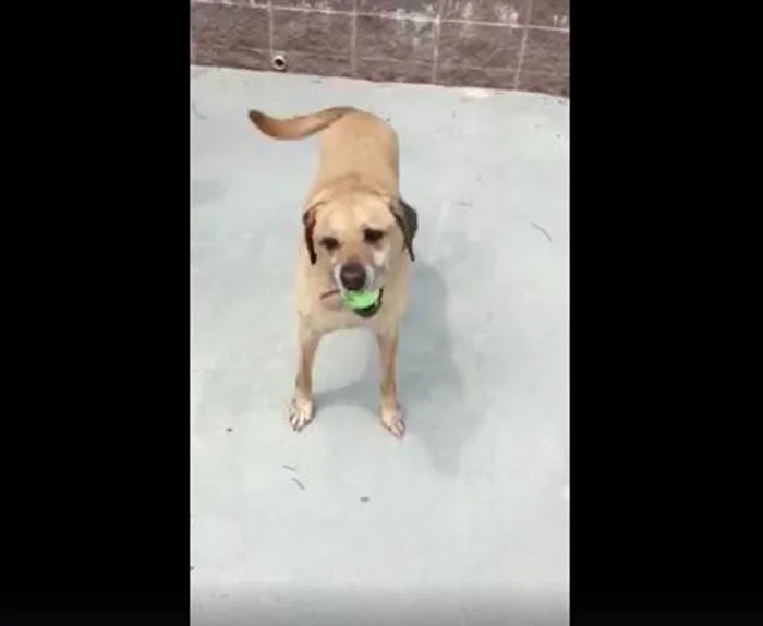 Cletus fue abandonado