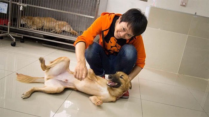 Cola perdió sus patas a causa del maltrato