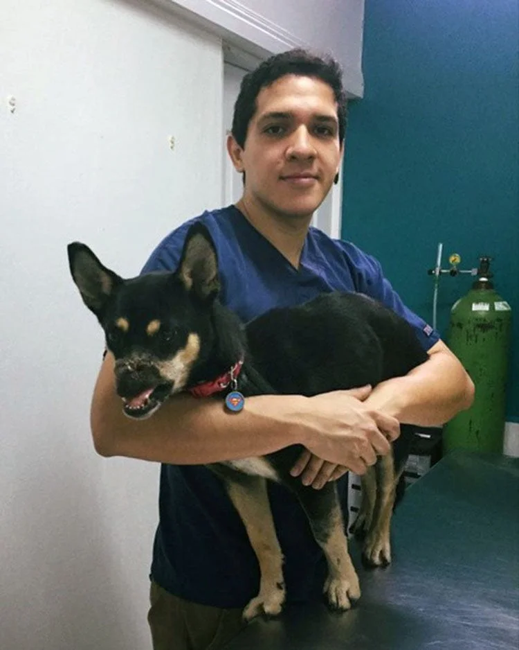 Duke se está recuperando Duke se está recuperando