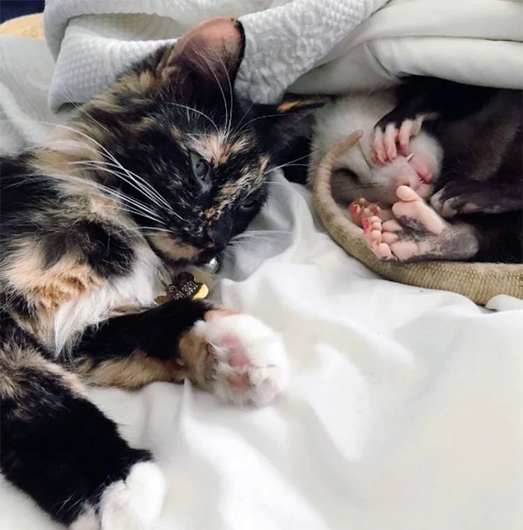 Fefe y Poppy Fefe y Poppy