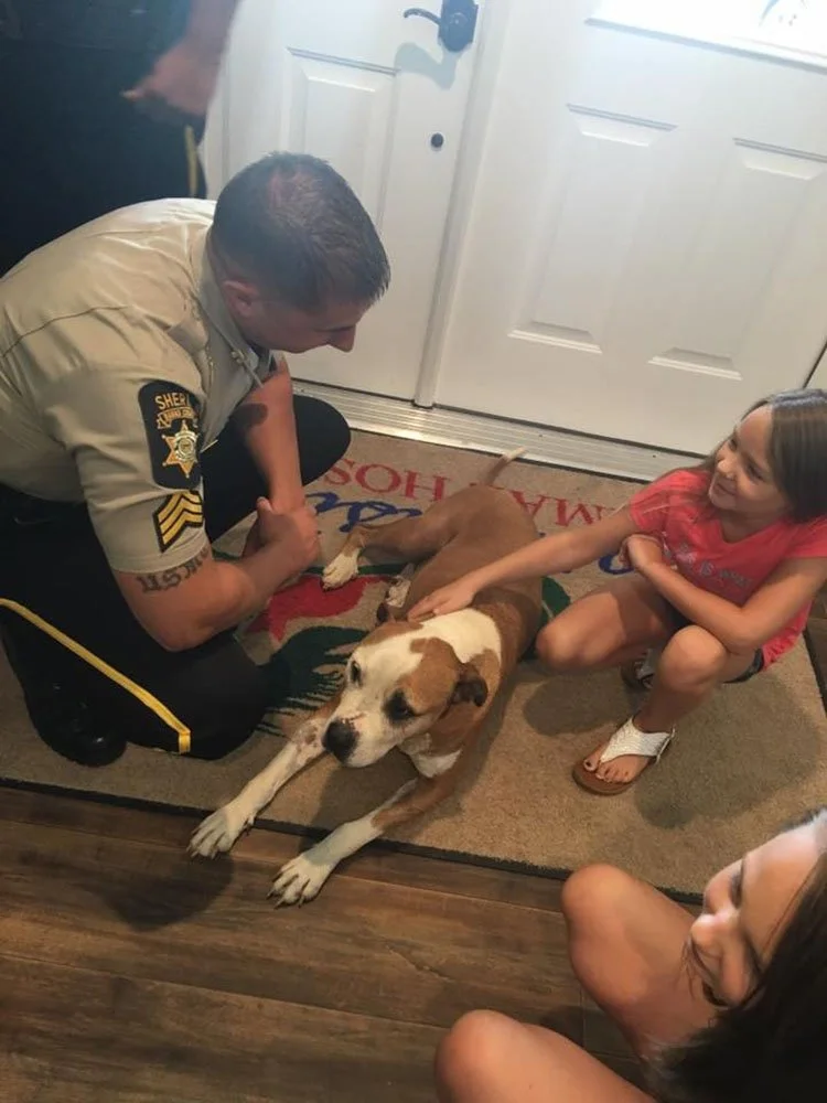 Hero salvó a una mujer Hero salvó a una mujer