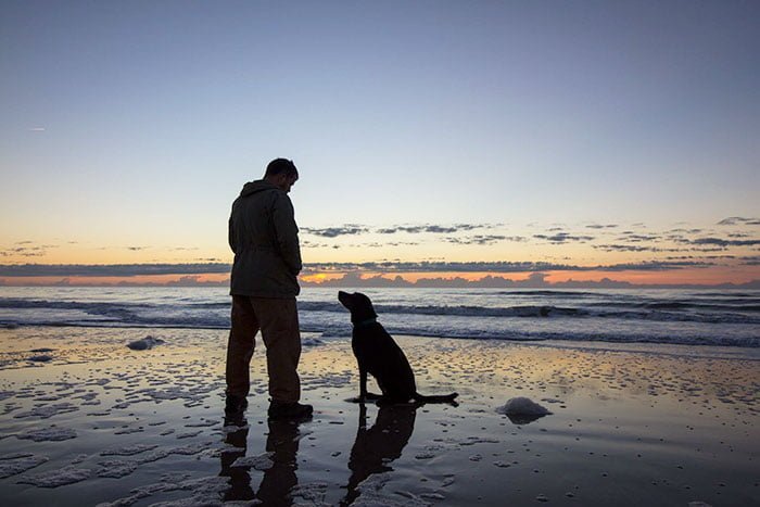 Hombre viaja junto a su perro con cáncer